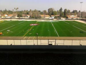 FieldOne